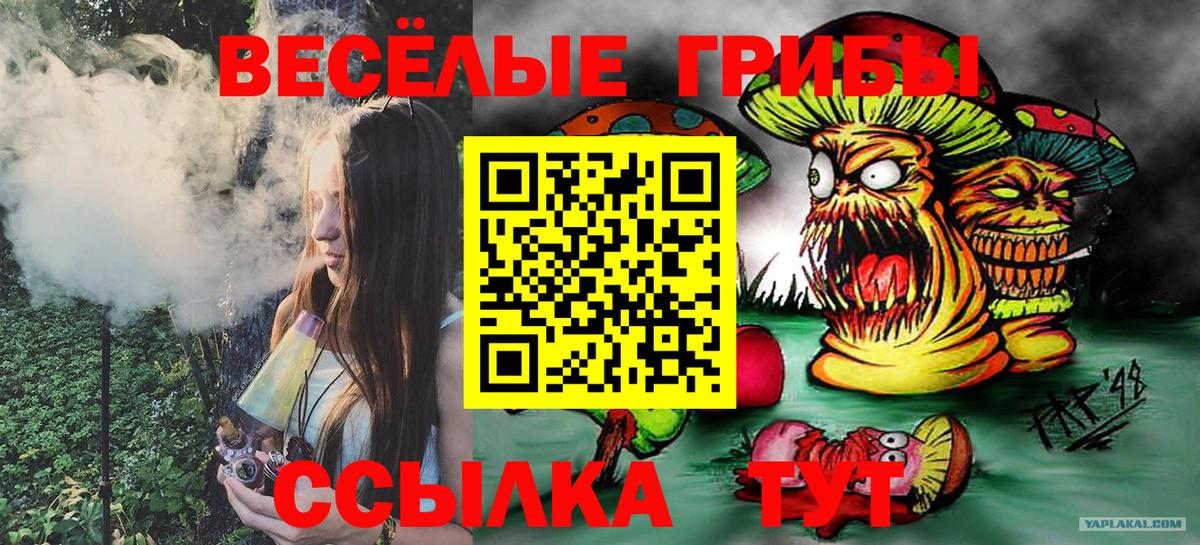 Галлюциногенные грибы Psilocybe  Галлюциногенные грибы Psilocybine cubensis  где можно купить   Мичуринск  Вход с VPN 